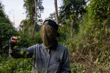kristen kish wearing protective face netting while foraging ingredients in paraty, brazil