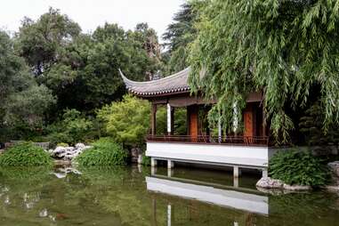 a beautiful Japanese pagoda and gardens