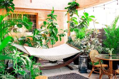 hammock at Life House, Little Havana