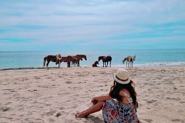 a girl and a pack of horses