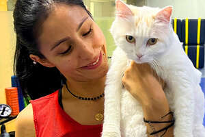 Rescue Cat Inspires A Whole New Gym Class!