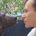 This Dog Is Unrecognizable Now