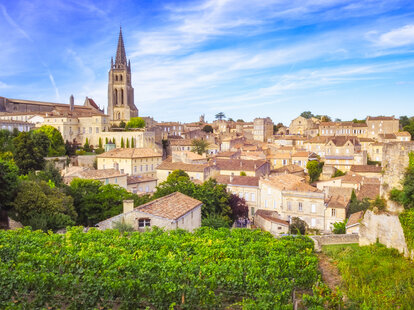 A vineyard in Bordeaux, France on a sunny day.