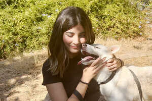 Scared Dog Who Approached Rescuers Is The Most Trusting Girl Now