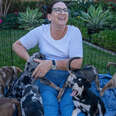 Momma Dog Has A Reunion With Her 13 Puppies On Their First Birthday