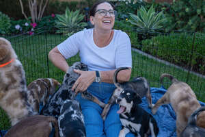 Momma Dog Has A Reunion With Her 13 Puppies On Their First Birthday