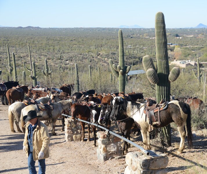 Dude Ranches in Arizona: Ride Horses at These Tucson Dude Ranches ...