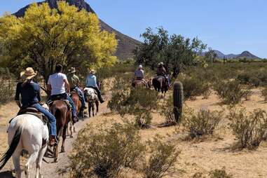 White Stallion Ranch horse riding trail