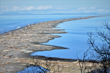 Dungeness Spit