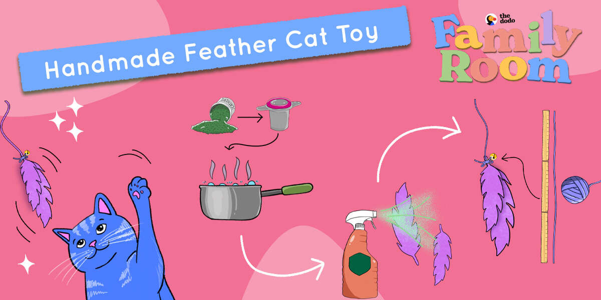 This Handmade Feather Cat Toy Will Give Your Pet Hours Of Fun The Dodo