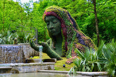 Atlanta Botanical Garden