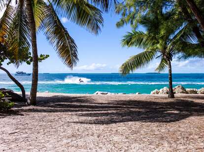 A sandy beach with palm trees on a sunny day. 