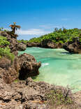 A view of emerald clear water on Iriomote Island in Japan. 