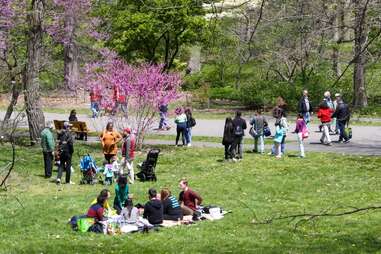 Arnold Arboretum of Harvard University