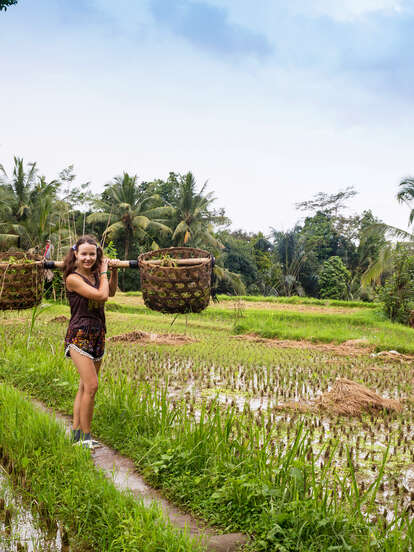 young girl collecting baskets of rice on a farm 