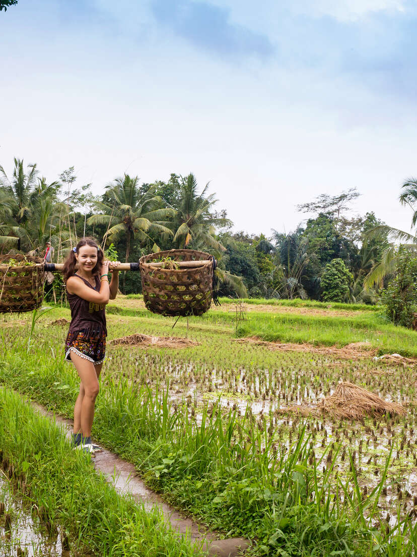 What is WWOOFing? How to Travel the World for Free by Working on Farms -  Thrillist