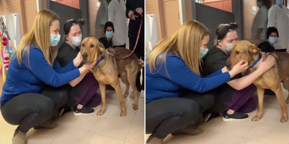 Longtime shelter dog refuses to leave without giving every staff member a kiss goodbye