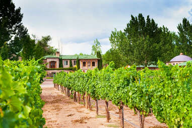 new mexico wine