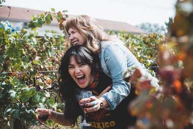 vineyards New Mexico