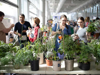 Texas Farmers Market at Mueller