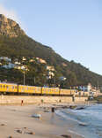 Swim with Penguins & See the Coast When You Take the Cape Town Train
