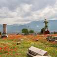 The ruins of Pompeii and a field of flowers in Southern Italy. 