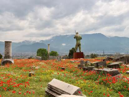The ruins of Pompeii and a field of flowers in Southern Italy. 