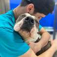‘Grateful’ Shelter Dog Thanks All His Rescuers With Loving Hugs 