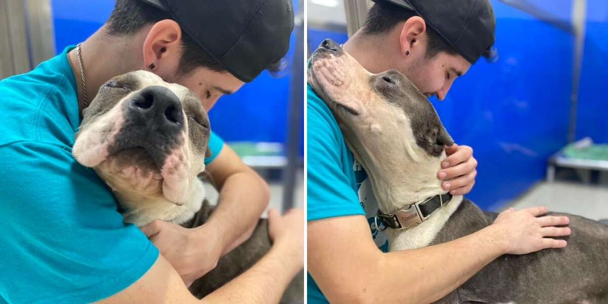 A "grateful" shelter dog expresses his gratitude to all his rescuers by showering them with loving hugs.