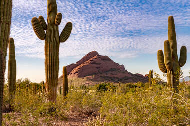 Phoenix Botanical Garden