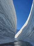 The snow corridor at Tateyama Kurobe Alpine Route in Japan