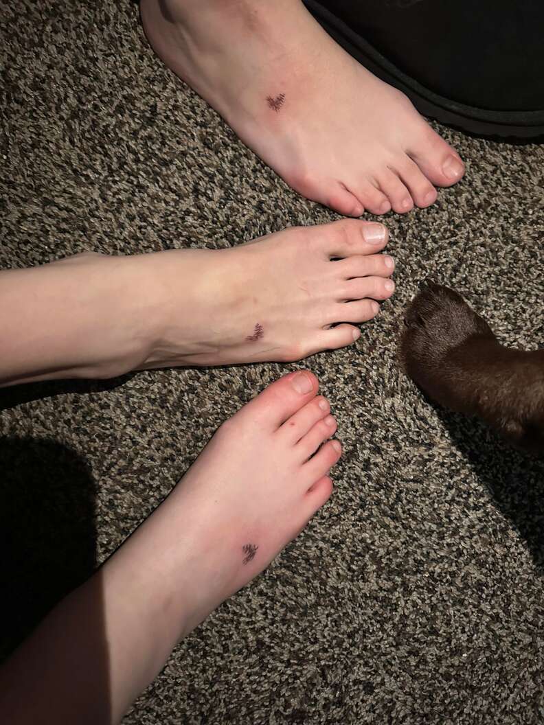 Family Finds A Sweet Way To Honor The Dear Old Dog They All Adore