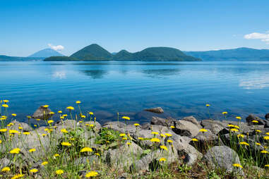 Lake Toya, Hokkaido with flowers in foreground