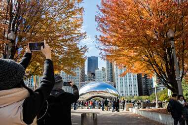 chicago bean Millennium park