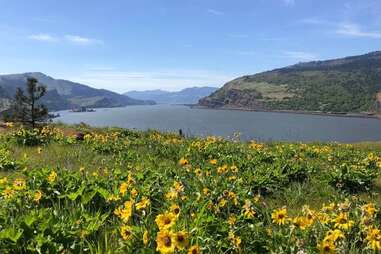 Mosier Plateau in Mosier, Oregon