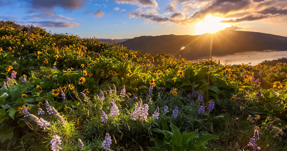 The 12 Best Hikes in Columbia River Gorge, Oregon - Krystal