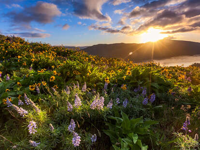 Rowena Crest viewpoint