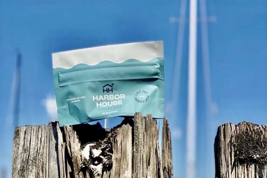 Harbor House Collective Chelsea, MA Thrillist