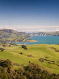An aerial view of New Zealand's countryside. 