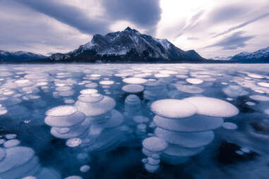 abraham lake frozen methane bubbles