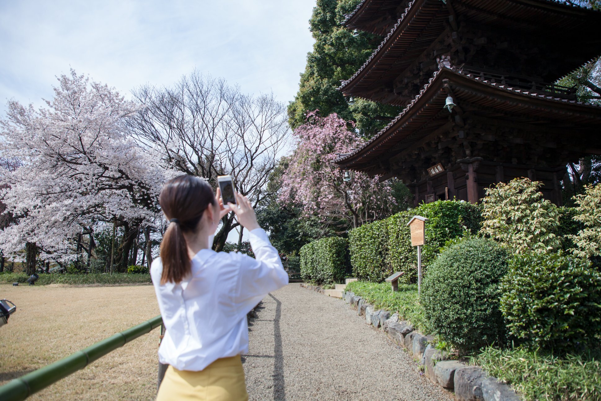 Relax in a Lush Tokyo Oasis Full of Cherry Blossoms