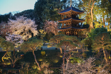 Pagoda and cherry blossoms