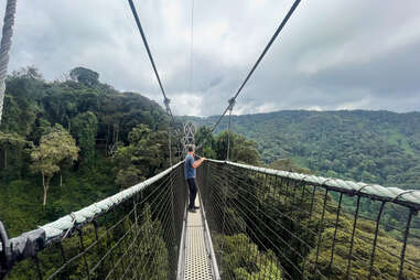 Suspension bridge at Nyungwe Forest National Park