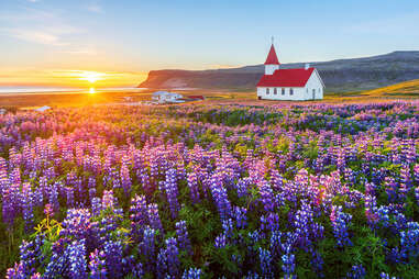 Westfjords iceland