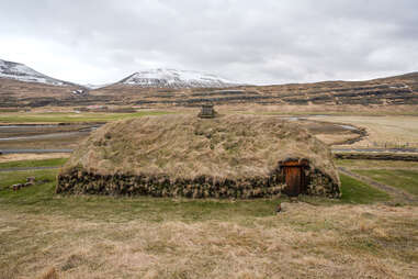 Iceland Vikings