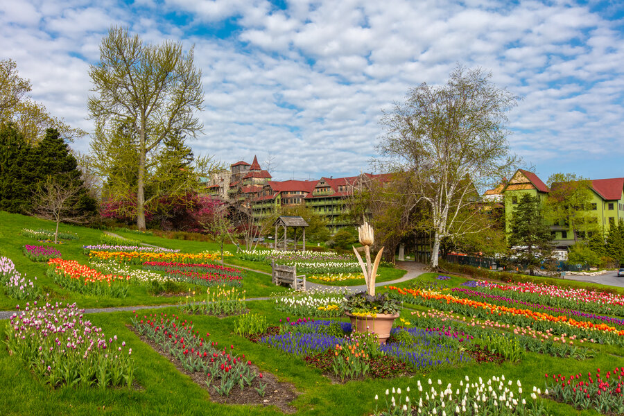 Where to See Thousands and Thousands of Tulips, Travel