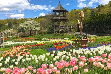 Mohonk Tulip Festival