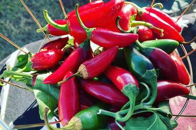 Freedmen's Town Farmers Market