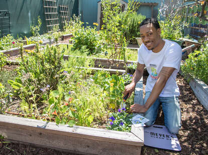 Tyler James Williams