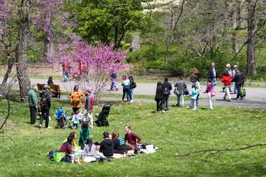 Arnold Arboretum of Harvard University